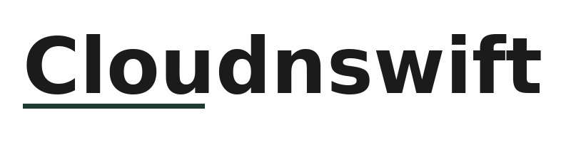 Cloudnswift logo